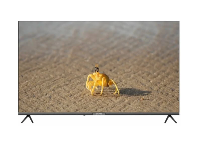 HIKING 58'' 58HS24000 WHALE OSTV TELEVİZYON