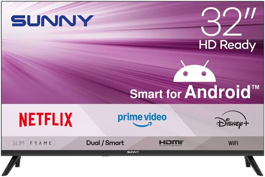 SUNNY SN32HMLN-W02 TV